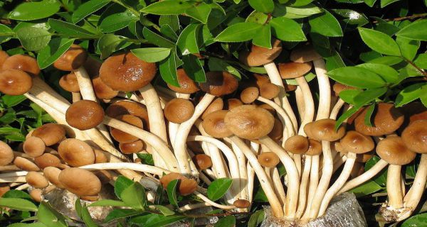 圖片5.jpg 圖片5.jpg