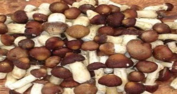 圖片6.jpg 圖片6.jpg