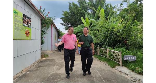 自治區(qū)農(nóng)業(yè)農(nóng)村廳一級(jí)巡視員梁雄率調(diào)研督導(dǎo)組到公司食用菌基地考察，開(kāi)展2021年上半年強(qiáng)一產(chǎn)促增長(zhǎng)專題調(diào)研