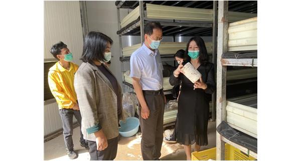 2022年5月18日上午，梧州市委常委、組織部部長(zhǎng)文東福在萬(wàn)秀區(qū)委常委、組織部部長(zhǎng)蔣秋艷的陪同下來(lái)到公司食用菌基地調(diào)研，了解鄉(xiāng)村振興示范點(diǎn)建設(shè)工作。
