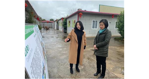 2022年2月21日下午，梧州市副市長(zhǎng)蘇穎、梧州市婦聯(lián)主席易潔、梧州市政府副秘書(shū)長(zhǎng)劉念等一行到公司食用菌基地調(diào)研。